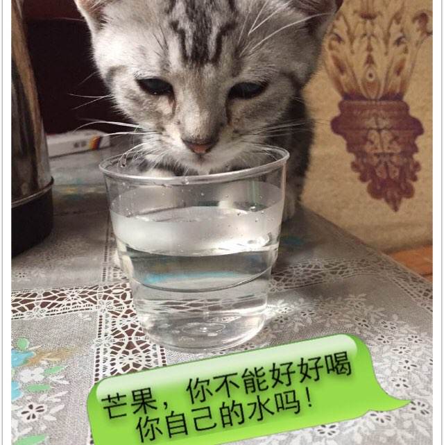 存款证明名字拼音格式